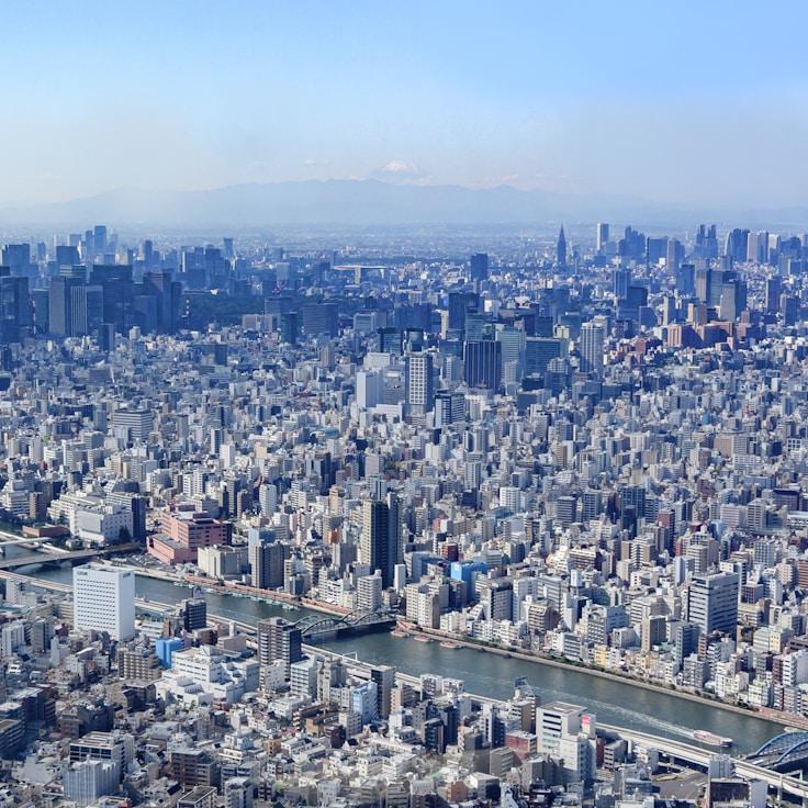 Sophie van der Meer - Expat family life guide in Netherlands